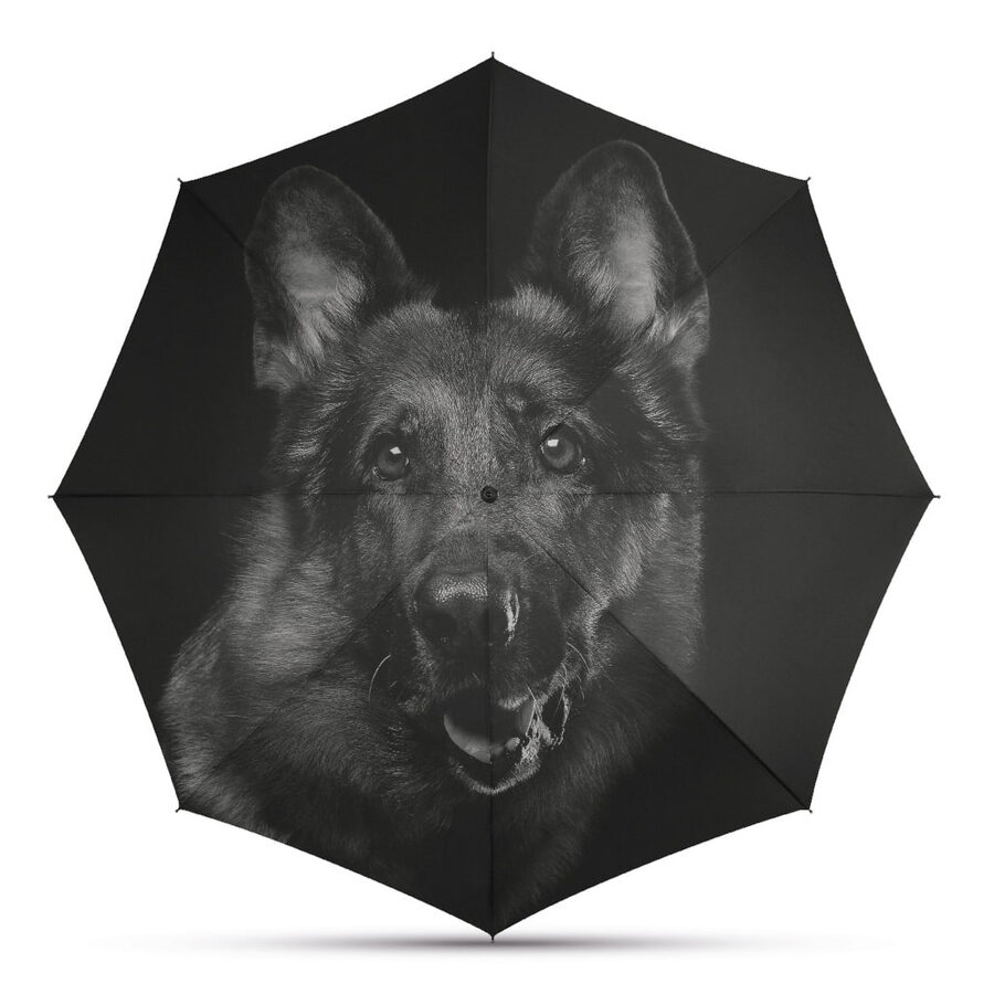 Lietussargs-saliekams-automāts-suns